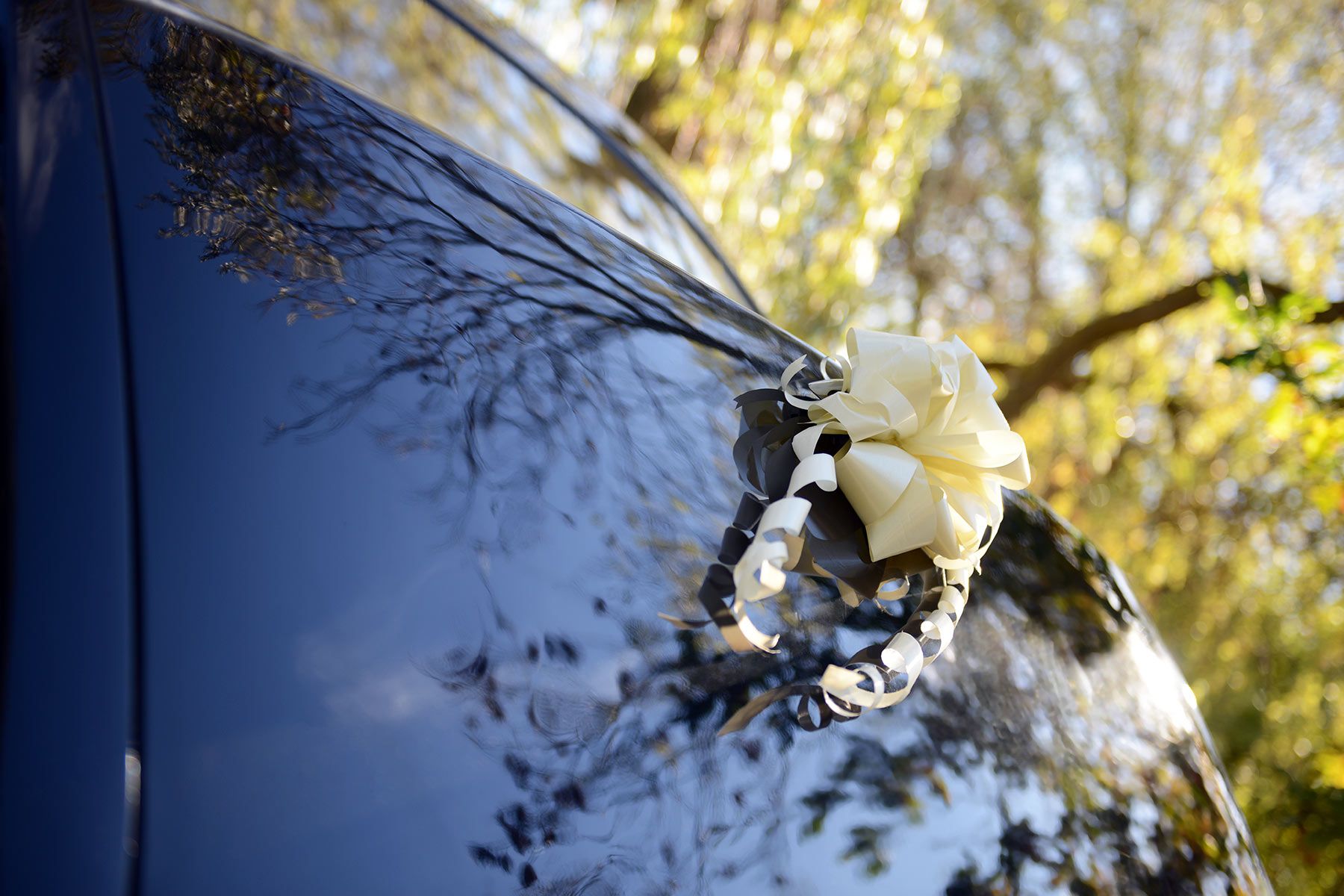 Princess Vintage Wedding Car